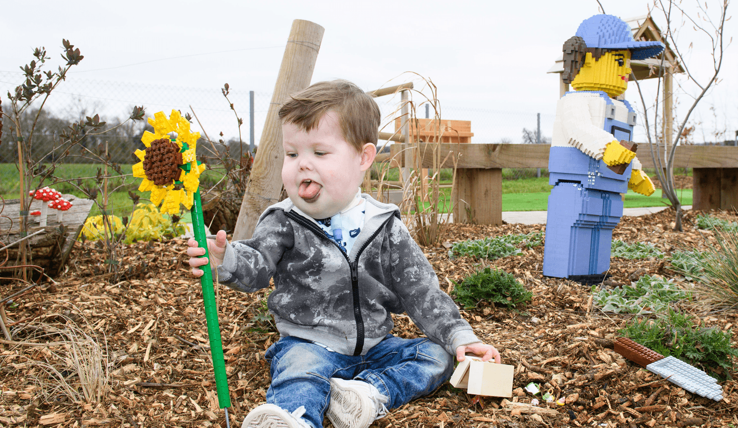 Young boy playing with lego sunflower.