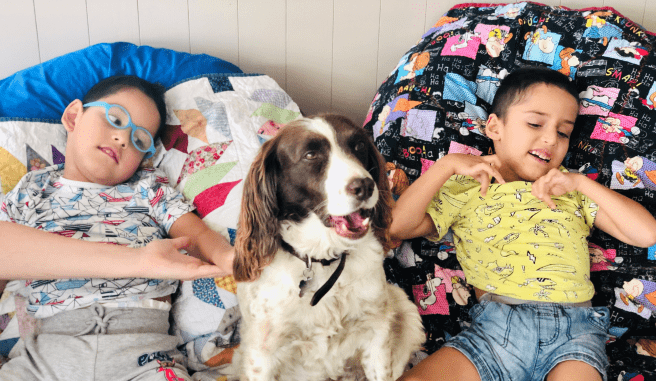 Meet #TeamDevine: Libby, our special pet therapy dog