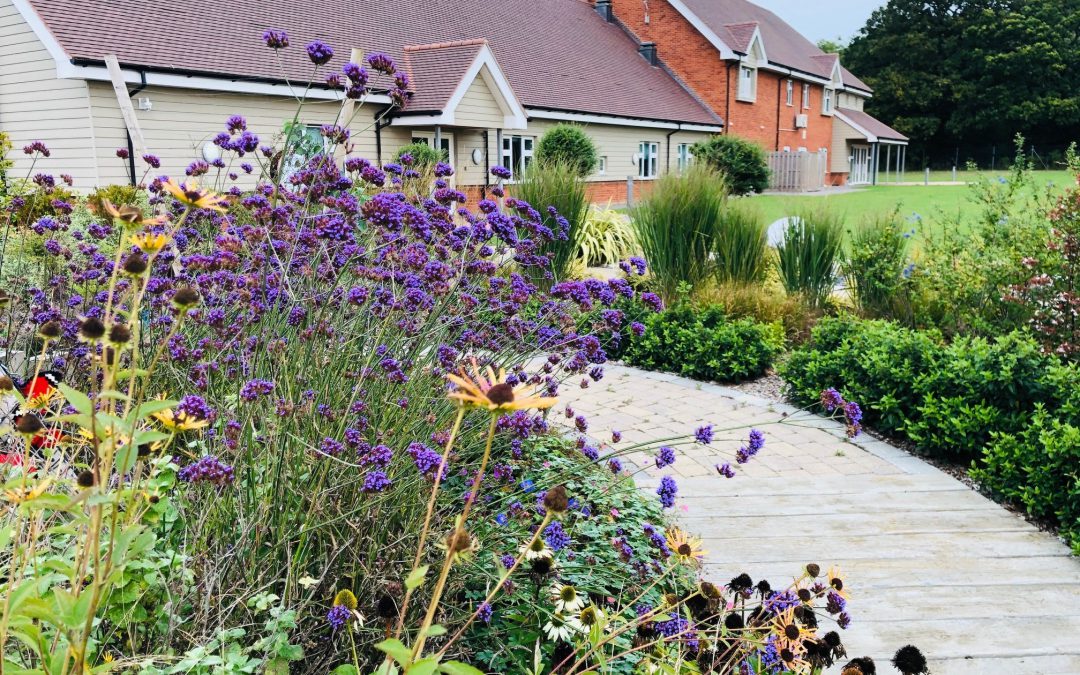 Shaping The Future of Care, 20th May 2026