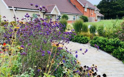 Shaping The Future of Care