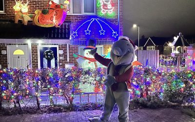 Devine Christmas Lights Trail 2025