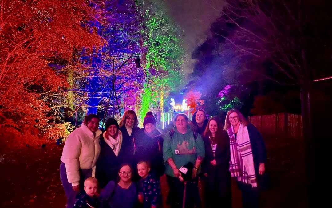 A Sparkling Start to Christmas with Windsor Great Park Illuminated 