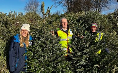 Christmas Treecycling Raises Over £13,500 For Alexander Devine Children’s Hospice.